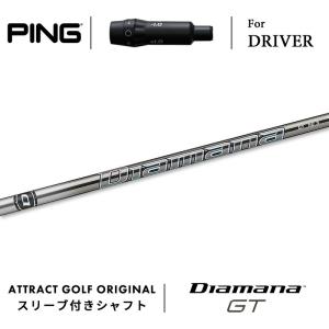 RDX カスタム ピン ドライバー用スリーブ付きシャフト PROJECT X