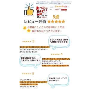 【豪華11点セット】サンタクロース 衣装 メン...の詳細画像1