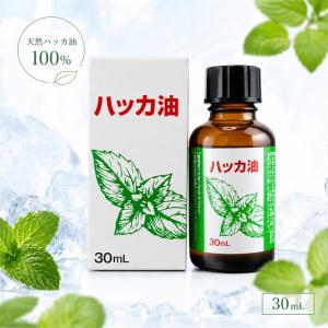 コウタロシナジー　ペパーミントオイル2個 ペパーミントオイル 5mL シナジーワールドワイド : BestSmile - 通販 エッセンシャルオイル