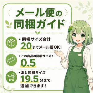 寛永通宝 根付け 赤 古銭 開運 魔除け お守...の詳細画像3