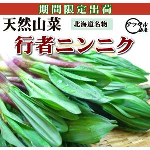 行者にんにく 北海道山菜 ヒトビロ　３キロ 天然物　（真空冷凍）下処理なし｜atumaru-suisan