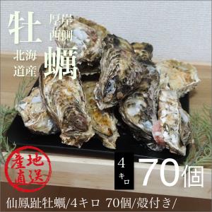 生牡蠣 生食用 殻付き 北海道 厚岸西側仙鳳趾 最大70個前後4キロ 訳あり ハネモノ せんぽうし　現在日付指定不可