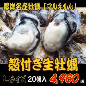厚岸産 マルえもん Lサイズ 90ｇ〜120ｇ 20個　生食用 殻付き生牡蠣　