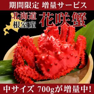 花咲蟹 メス 子付き 北海道産 700g 蟹 かに カニ はなさき