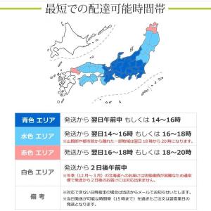 オレンジルリーシュリンプ 5匹の詳細画像5