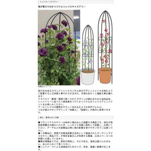 ショート オベリスク プライム オベリスク バラアーチ 菜園 スリム ガーデニングアーチ パーゴラ つるバラ 植物 アーチ ガーデニングアーチ ハンギング つる性 庭 家庭菜園 藤棚 菜園