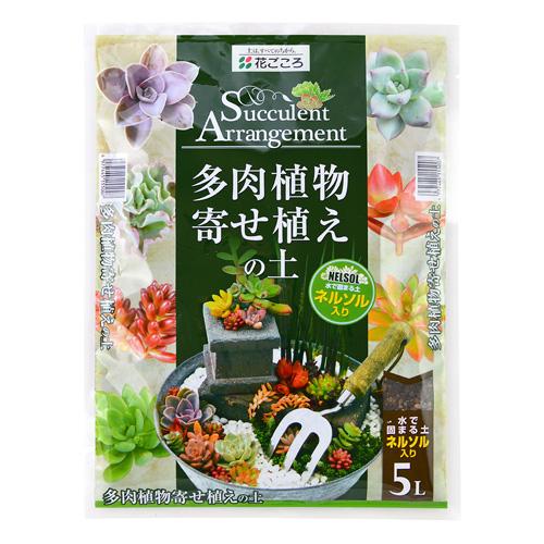 花ごころ 多肉植物寄せ植えの土 ５L　固まる土のネルソルが付属で植え込み後の苗をしっかり固定 夏の暑...