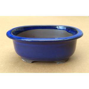 植木鉢 小判深鉢 生子 6号 国産陶器鉢 サボテン 和風 山野草鉢 ミニ観葉植物や多肉植物 インドアグリーン 箱庭にも