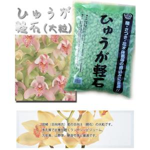 宮崎県産 日向土 軽石 大粒 18L ひゅうが土 蘭 (ラン)やサツキ、山野草に