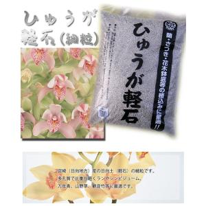 宮崎県産 日向土 軽石 細粒 18L ひゅうが土 蘭 (ラン)やサツキ、山野草に