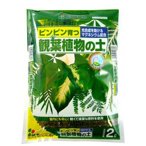 花ごころ  観葉植物の土 2L　初めての方でも安心。ピンピン育つ！！ 元肥入り 培養土 園芸 ガーデ...