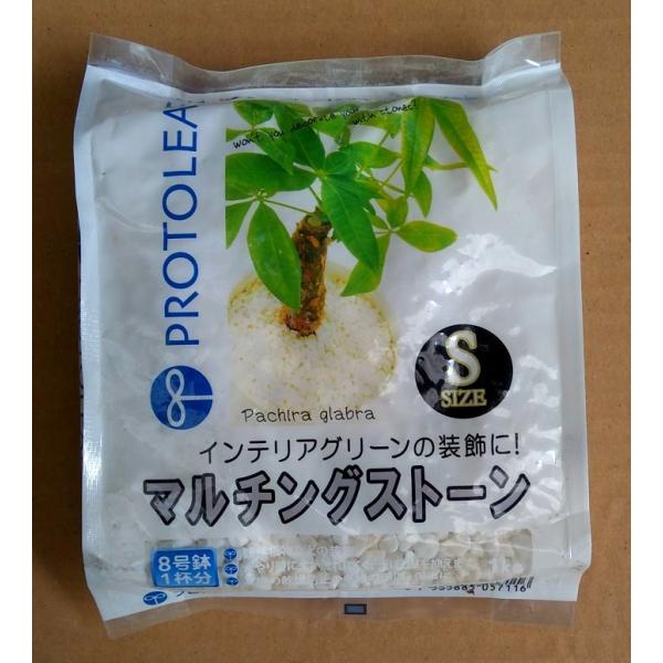 プロトリーフ マルチングストーン 1kg S粒 観葉植物や多肉植物の装飾 夏場の乾燥防止、冬の保温・...