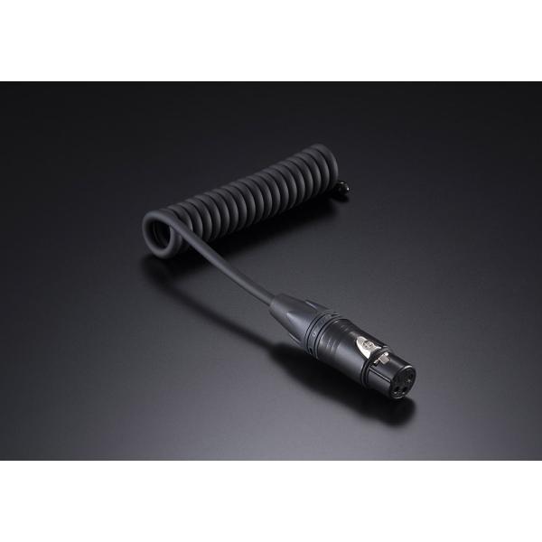 AET - EVO-NE0510NI-XF（XLR-メス端子用）ノイズイジェクター【在庫限り・在庫有...