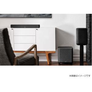 DENON - DENON HOME SUBW...の詳細画像3