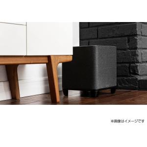 DENON - DENON HOME SUBW...の詳細画像5