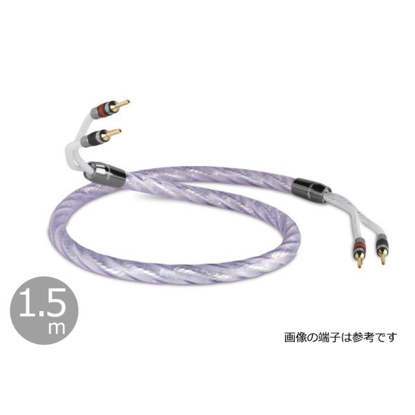 QED - Signature Genesis Silver Spiral/1.5m（完成品スピーカ...