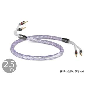 QED REVELATION SIGNATURE スピーカーケーブル1.5mペア QED - Signature Revelation/1.5m（完成品スピーカーケーブル