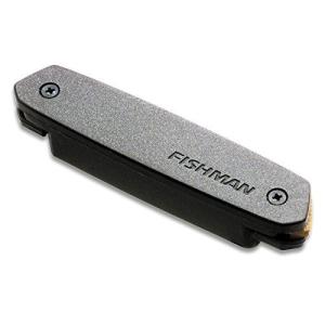 Fishman フィッシュマン ピックアップ NEO-D Humbucking Pickup
