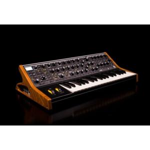 MOOG モーグ Subsequent 37  2ノートパラフォニック・アナログシンセサイザー｜直輸入品｜audio-mania