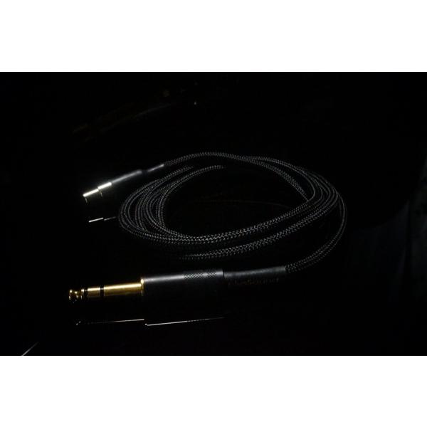 PlusSound プラスサウンド Echo+ Series Custom Cable AKG ヘッ...