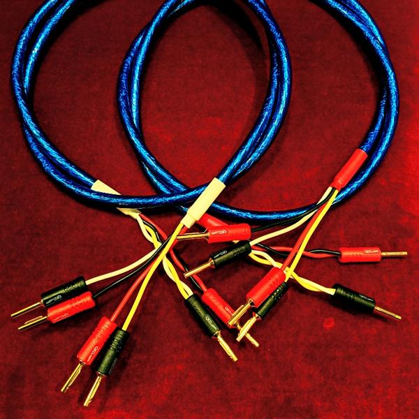 【シングルバイワイヤ/SP側のみバイ/1.0mペア】Zonotone　6NSP-Grandio550...