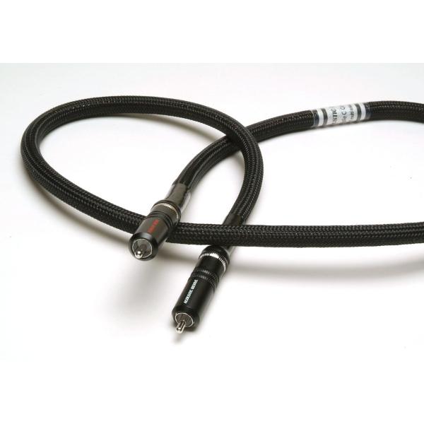 【特注品：貴陽石モデル】AcousticRevive　COX-1.0 TripleC-FM（1.0m...