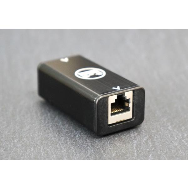 THE CHORD COMPANY　EE1（1個）　ネットワーク用ノイズ対策アイテム　ENGLISH...