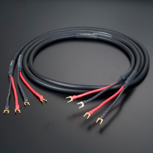 【受注生産品】【代引き不可】AET　EVO-1302S SP/1.5mx2本/Y-Y（Yラグ-Yラグ...