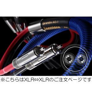 XR-3000 サエクコマース(SAEC) ハイコストパフォーマンスXLRバランス