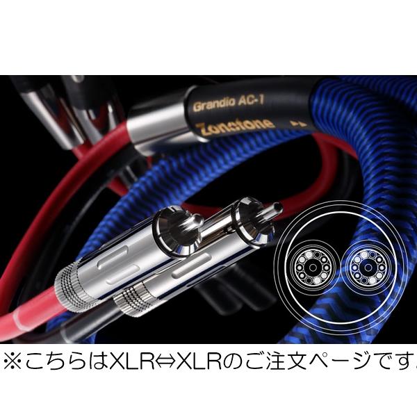 【納期情報：受注生産約3週間】【代引き不可】Zonotone　Grandio AC-1/5.0mペア...