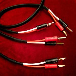 アコースティック リヴァイブ ACOUSTIC REVIVE アコースティック