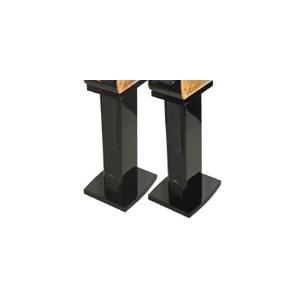 RODE Boompole プロフェッショナル用ブームポール 【送料無料】 : 写真