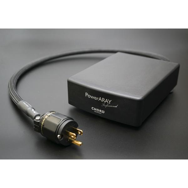 THE CHORD COMPANY　PowerARAY Professional　パワーアレイプロフ...