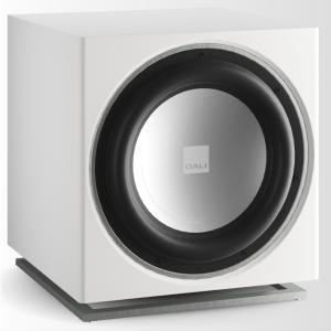 SUBE12N [SB:サテンブラック] DALI [ダリ] サブウーファー : アバック