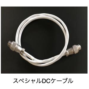 【納期情報：納期未定】aurorasound　VIDA-mkIIオプション・スペシャルDCケーブル　...