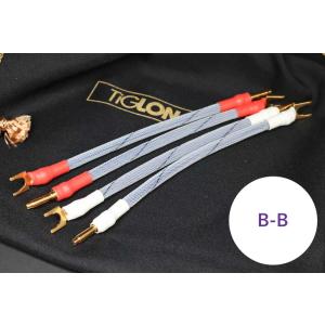 TIGLON（ティグロン） 電源ケーブル MS-DR20A 1.8m : オーディオ