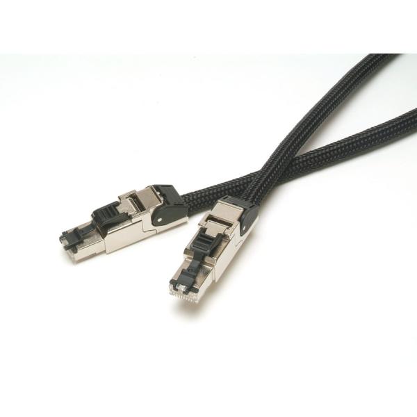 アコースティックリバイブ LANケーブル ACOUSTIC REVIVE LAN-1.0 Tripl...