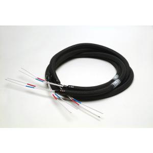 アコースティック リヴァイブ ACOUSTIC REVIVE アコースティック