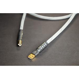 TIGLON（ティグロン） 【プレミアムな日曜日 1月11日】ティグロン USB