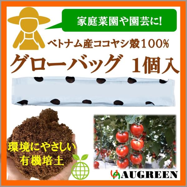 ベトナム産ココピート グローバッグ 1個入（ココヤシピート ココナッツピート ヤシガラピート）除塩済...
