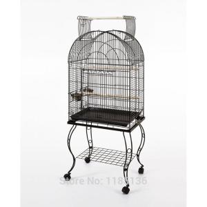 鳥かご カナリアランキング ギガランキングｊｐ