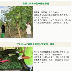 有機 モリンガ 350g 有機モリンガ スーパ...の詳細画像3