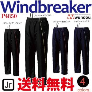 MIZUNO（ミズノ） ブレスサーモ ダウンパンツ メンズA2MF8526 ネコポス