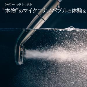 フリオン スマイル シャワーヘッド（クリア）FR-14S SAISEIKO