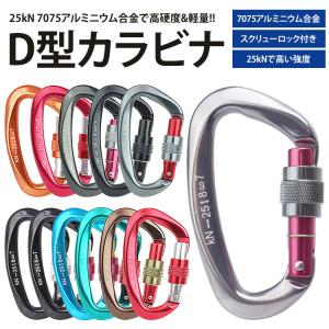カラビナ 25kN D型 安全環 スクリューロ...の詳細画像1