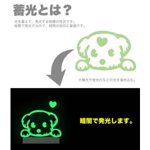 蓄光ステッカー アニマル 動物 夜光ステッカー...の詳細画像2