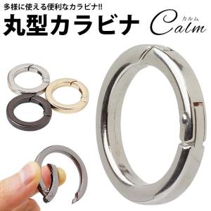 リング カラビナ 丸型 外径 28mm 35mm 41mm キーホルダー 丸カン サークル カラビナ バッグ チャーム アウトドア 鍵 カギ 小型 軽量