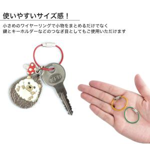 ワイヤーキーリング キーチェーン キーホルダー...の詳細画像3