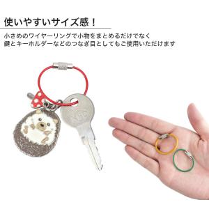 ワイヤーキーリング キーチェーン キーホルダー...の詳細画像3