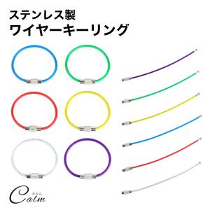 ワイヤーキーリング キーチェーン キーホルダー ステンレス ロックワイヤー アクセサリー 10cm 2mm 単品